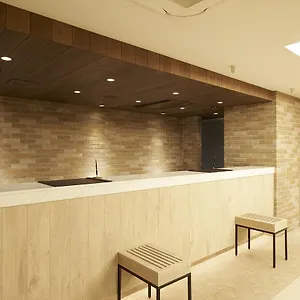Hotel Sotetsu Fresa Ginza Sanchome, Tōkyō